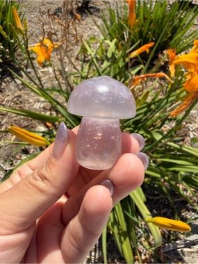 Small Natural Fluorite Mushroom Carving,Hand Carved Crystal Mushroom,A556